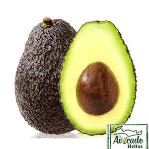 ΑΒΟΚΑΝΤΟ HASS, AVOCADO CULTIVATION, CULTIVATION PRICE MARKET BUY, TREE/TREE PLANT, MARKET PLANTS, nursery, Greece,Crete
