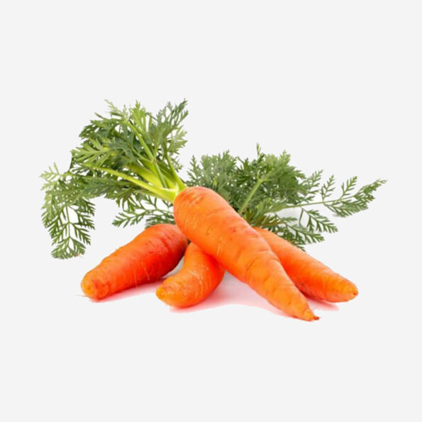 carrot-red