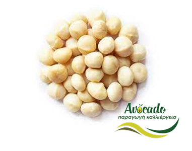 Μακαντέμια, Macadamia, καλλιέργεια, οδηγός, συμβουλές Μακαντέμια, Macadamia, καλλιέργεια, οδηγός, συμβουλές