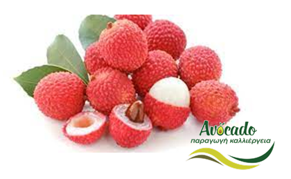 Λίτσι, lychee, καλλιέργεια, ιδιότητες, φροντίδα, Μάλαγα