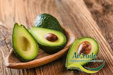 αβοκάντο, avocado, εξαγωγές, μεξικό, αμερική, αύξηση, 2021
