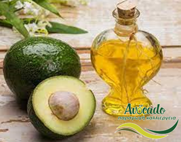 αβοκάντο, avocado, καλλυντικά, χρήσεις, μαλλιά, κυτταρίτιδα, ραγάδες αβοκάντο, avocado, καλλυντικά, χρήσεις, μαλλιά, κυτταρίτιδα, ραγάδες