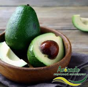 αβοκάντο, avocado, εξαγωγές, μεξικό, αμερική, οικονομία αβοκάντο, avocado, εξαγωγές, μεξικό, αμερική, οικονομία