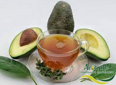 αβοκάντο, avocado, τσάι αβοκάντο, ωφέλη, διατροφική αξία
