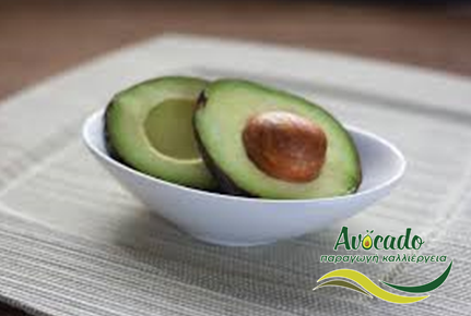 αβοκάντο, avocado, τιμή, αύξηση, εξαγωγές, μεξικό, αμερική αβοκάντο, avocado, τιμή, αύξηση, εξαγωγές, μεξικό, αμερική